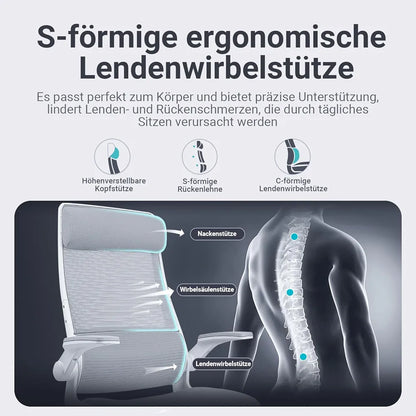 MELOKEA Gray Office Chair Ergonomic