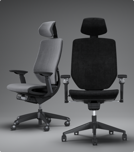 FLEXISPOT Multifunctional Fabric Ergonomic Chair (BS12 PRO)