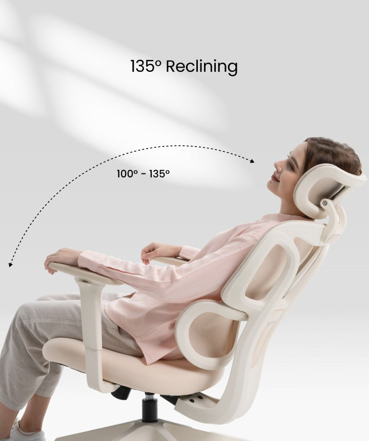 FLEXISPOT Ergonomic Chair with Cloud-like Cushion (BS5 Series)