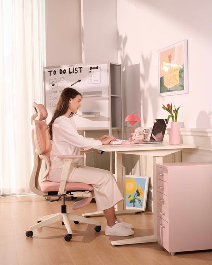 FLEXISPOT Ergonomic Chair with Cloud-like Cushion (BS5 Series)