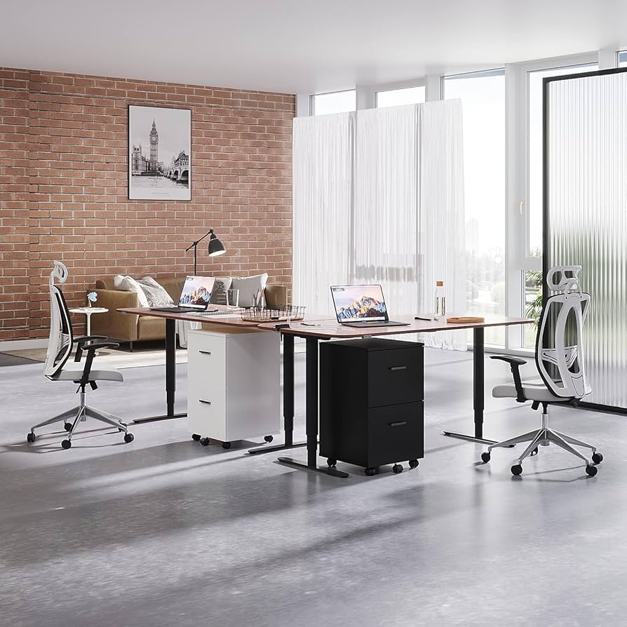 Panana 2 Drawer Mobile File Cabinet