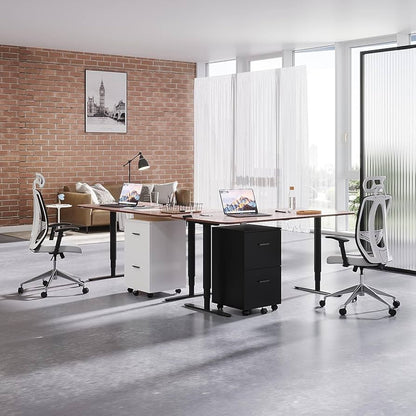 Panana 2 Drawer Mobile File Cabinet