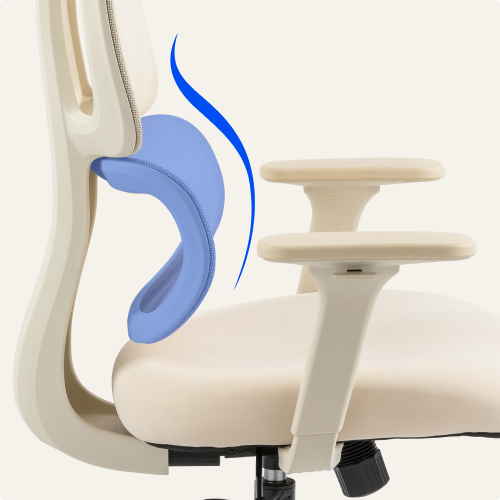 FLEXISPOT Ergonomic Chair with Cloud-like Cushion (BS5 Series)