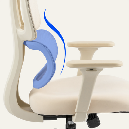 FLEXISPOT Ergonomic Chair with Cloud-like Cushion (BS5 Series)