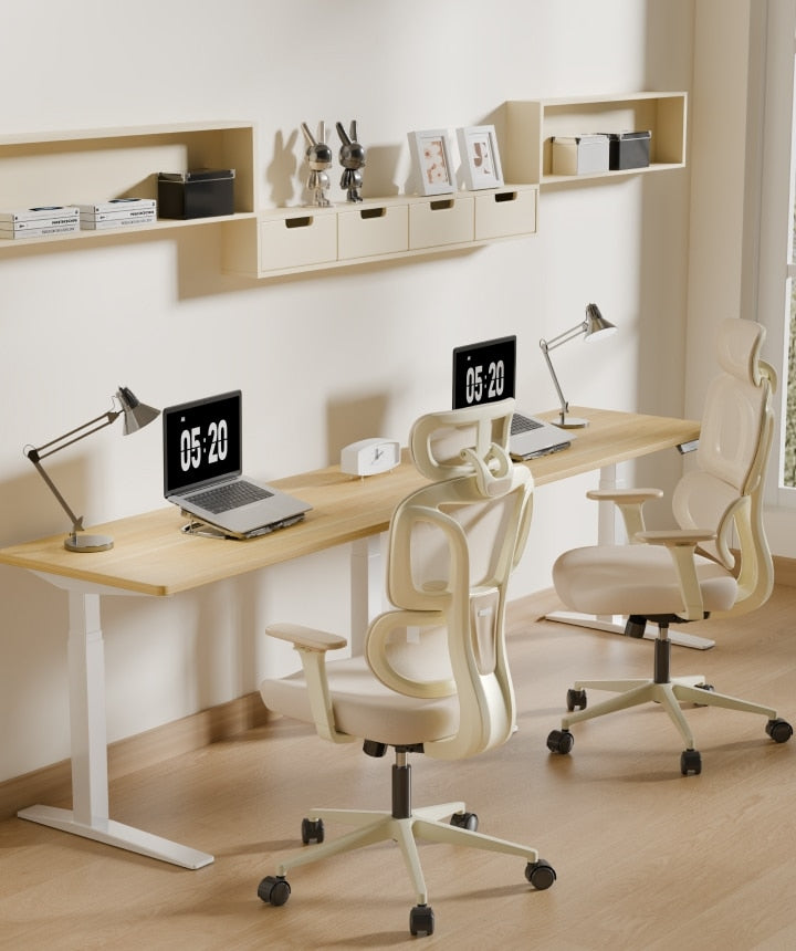 FLEXISPOT Ergonomic Chair with Cloud-like Cushion (BS5 Series)