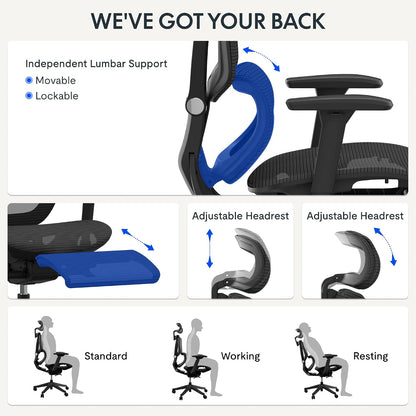 FLEXISPOT C7B Air Pro Ergonomic Office Chair
