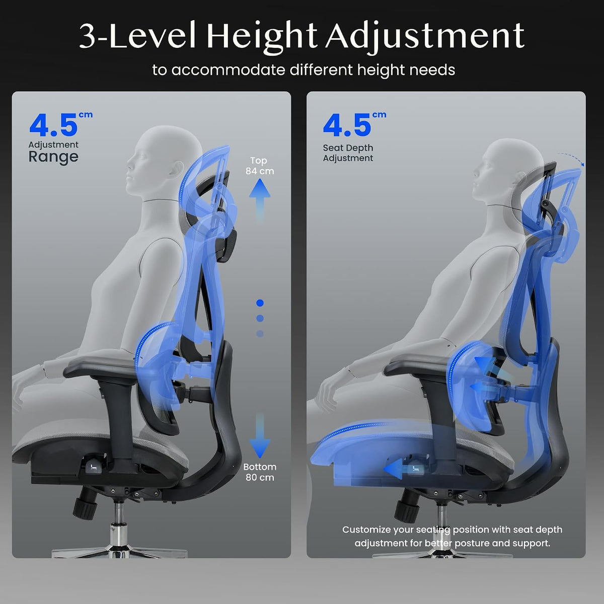 FlexiSpot C7DG-LITE-V2 Ergonomic Office Chair