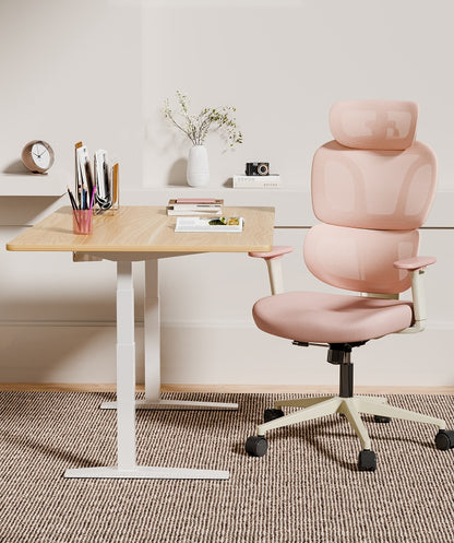 FLEXISPOT Ergonomic Chair with Cloud-like Cushion (BS5 Series)