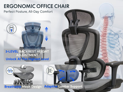 FlexiSpot C7DG-LITE-V2 Ergonomic Office Chair