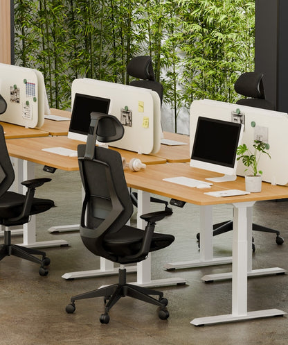 FLEXISPOT Multifunctional Fabric Ergonomic Chair (BS12 PRO)