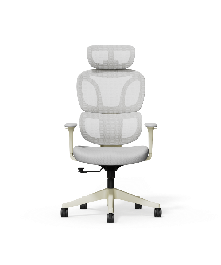 FLEXISPOT Ergonomic Chair with Cloud-like Cushion (BS5 Series)