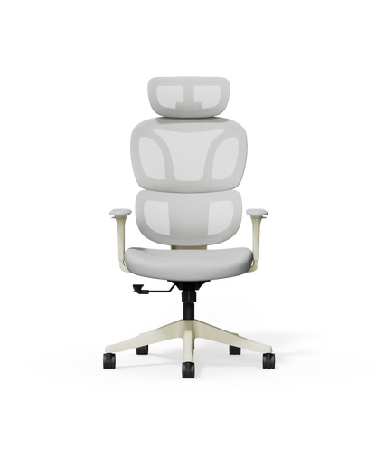 FLEXISPOT Ergonomic Chair with Cloud-like Cushion (BS5 Series)
