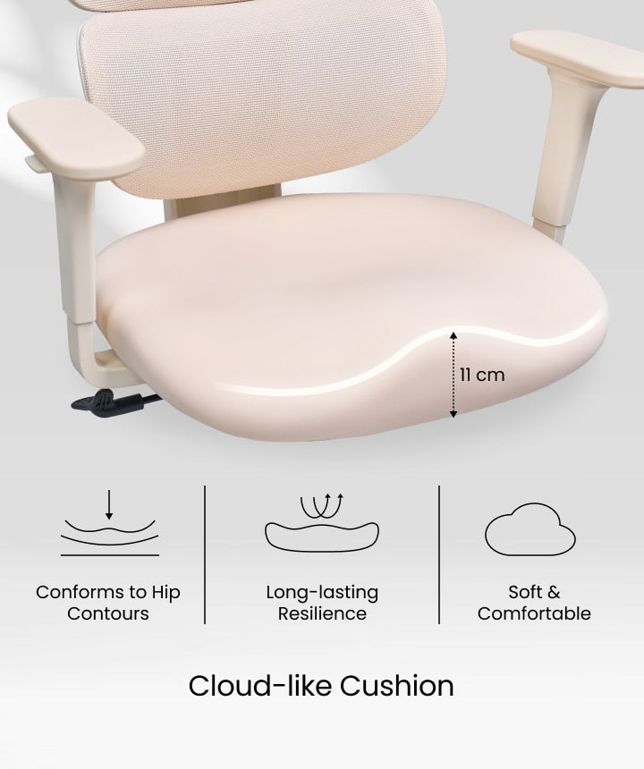 FLEXISPOT Ergonomic Chair with Cloud-like Cushion (BS5 Series)