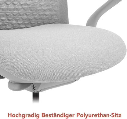 FLEXISPOT BackSupport BS13 Office Chair