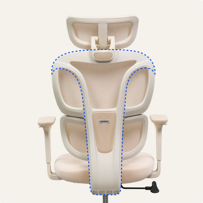 FLEXISPOT Ergonomic Chair with Cloud-like Cushion (BS5 Series)