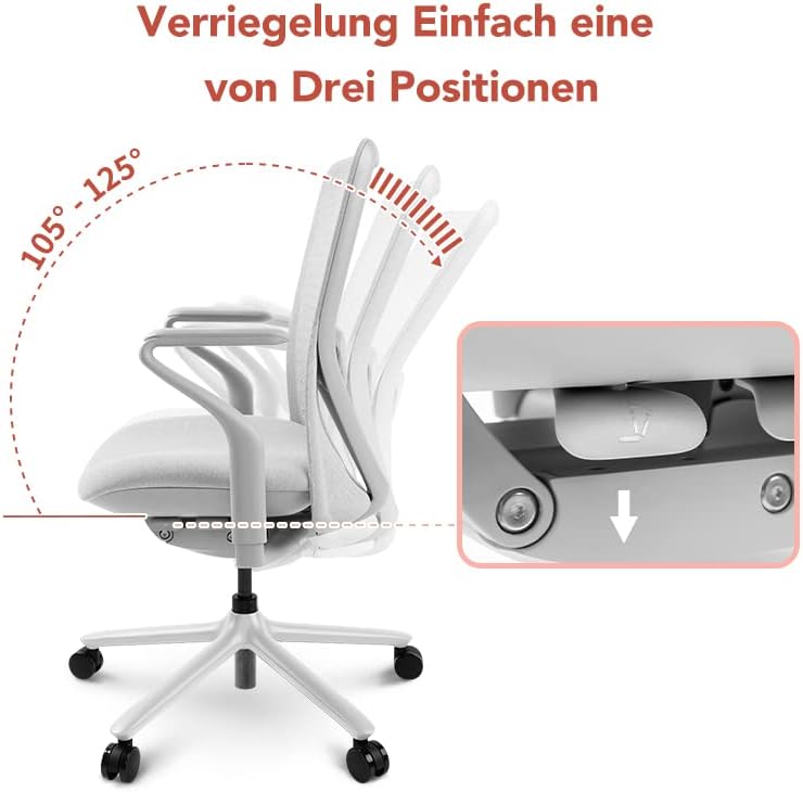 FLEXISPOT BackSupport BS13 Office Chair