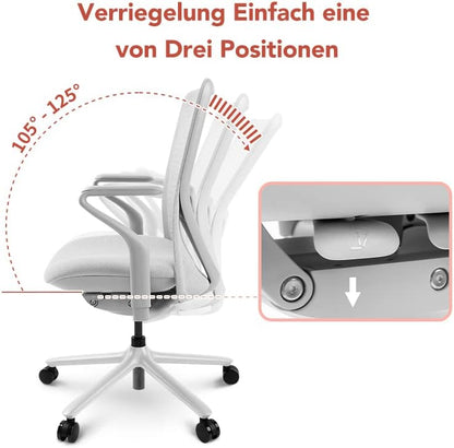 FLEXISPOT BackSupport BS13 Office Chair