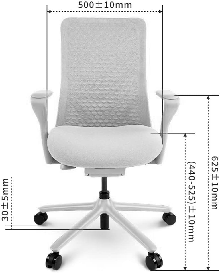 FLEXISPOT BackSupport BS13 Office Chair