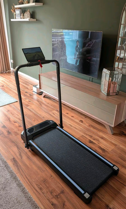 BK Barbara Klein 2-in-1 Treadmill