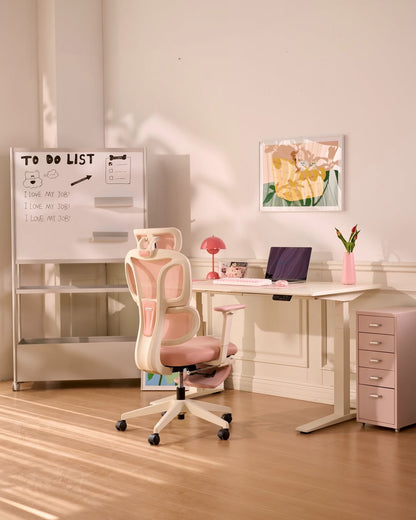 FLEXISPOT Ergonomic Chair with Cloud-like Cushion (BS5 Series)